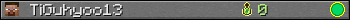TiGuhyoo13 userbar 350x20