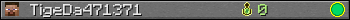 TigeDa471371 userbar 350x20