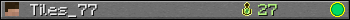Benutzerleisten 350x20 für Tiles_77