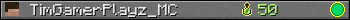 TimGamerPlayz_MC userbar 350x20