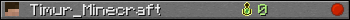 Timur_Minecraft userbar 350x20