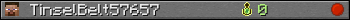 TinselBelt57657 userbar 350x20