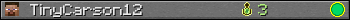 TinyCarson12 userbar 350x20