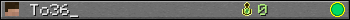 Benutzerleisten 350x20 für To36_