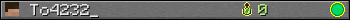 Benutzerleisten 350x20 für To4232_