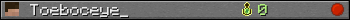 Toeboceye_ userbar 350x20