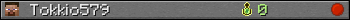 Tokkio579 userbar 350x20