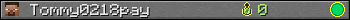 Tommy0218pay userbar 350x20