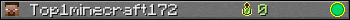 Top1minecraft172 userbar 350x20