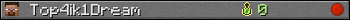 Top4ik1Dream userbar 350x20