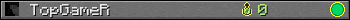 TopGameR userbar 350x20