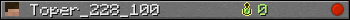 Toper_228_100 userbar 350x20