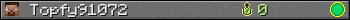 Topfy91072 userbar 350x20