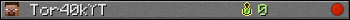 Tor40kYT userbar 350x20