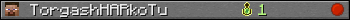 TorgashHARkoTu userbar 350x20