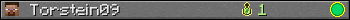 Torstein09 userbar 350x20