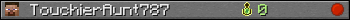 TouchierAunt787 userbar 350x20