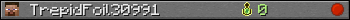 Юзербар 350x20 для TrepidFoil30991