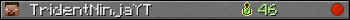 TridentNinjaYT userbar 350x20