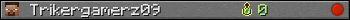 Trikergamerz09 userbar 350x20