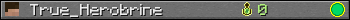 True_Herobrine userbar 350x20