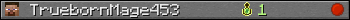 TruebornMage453 userbar 350x20