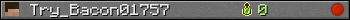 Юзербар 350x20 для Try_Bacon01757