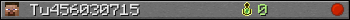 Tu456030715 userbar 350x20