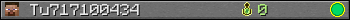 Tu717100434 userbar 350x20