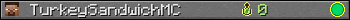 TurkeySandwichMC userbar 350x20