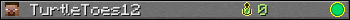 TurtleToes12 userbar 350x20