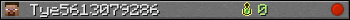 Tye5613079286 userbar 350x20