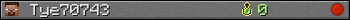 Tye70743 userbar 350x20