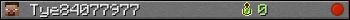 Tye84077977 userbar 350x20
