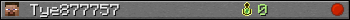 Tye877757 userbar 350x20