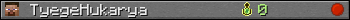 TyegeHukarya userbar 350x20