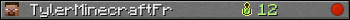 TylerMinecraftFr userbar 350x20