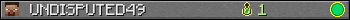 UNDISPUTED49 userbar 350x20
