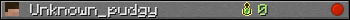 Unknown_pudgy userbar 350x20