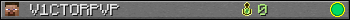 V1CTORPVP userbar 350x20