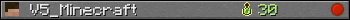 V5_Minecraft userbar 350x20