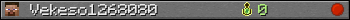 Vekeso1268080 userbar 350x20