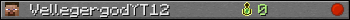 VellegergodYT12 userbar 350x20