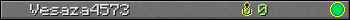 Vesaza4573 userbar 350x20