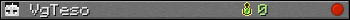 VgTeso userbar 350x20