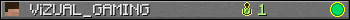ViZUAL_GAMING userbar 350x20