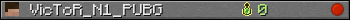 VicToR_N1_PUBG userbar 350x20