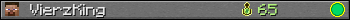 VierzKing userbar 350x20