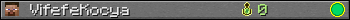 VifefeKocya userbar 350x20