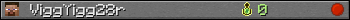 ViggYigg28r userbar 350x20